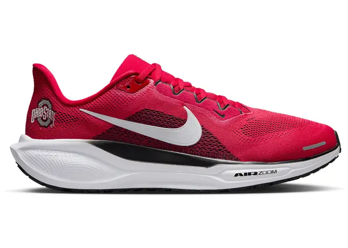 Size 9.5 - Nike Air Zoom Pegasus 41 Ohio State Buckeyes IB3254-600