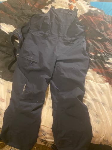 Women’s Eddie Bauer WeatherEdge Insulated Ski Bibs Medium (Petite Fit)