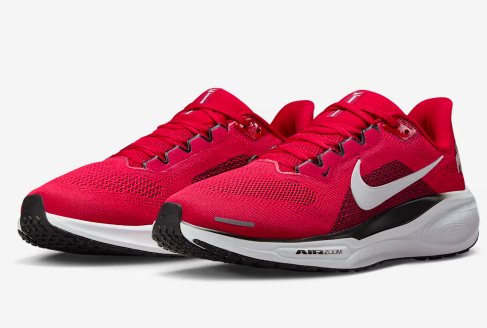 Size 11 - Nike Air Zoom Pegasus 41 Ohio State Buckeyes OSU IB3254-600