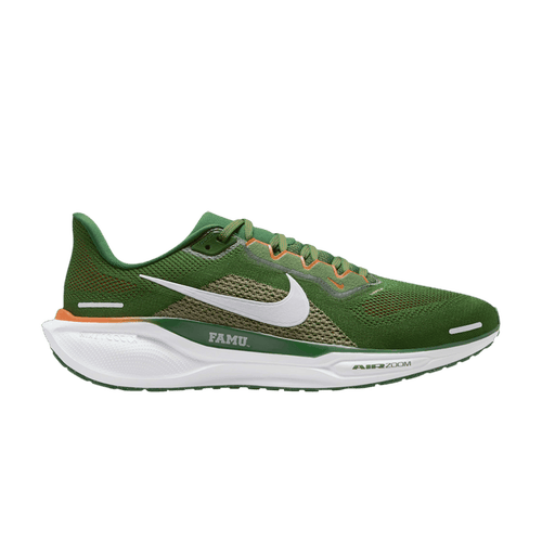 Size 10M/11.5W - Nike Air Pegasus 41 Florida A&M University (NO BOX) FZ5112-300