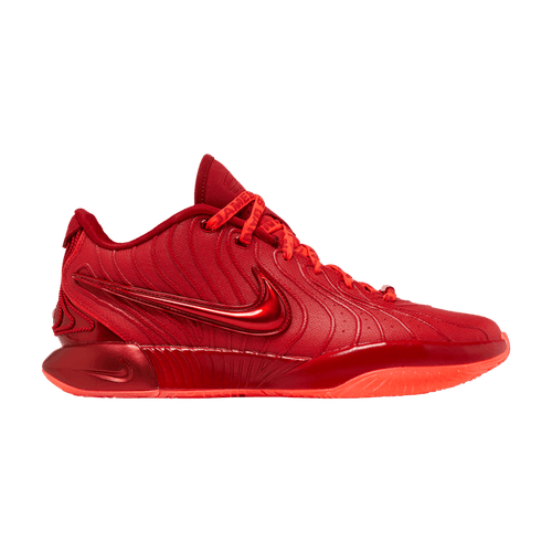 Size 9M/10.5W - Nike LeBron 21 'James Gang' (NO BOX) HF5951-600