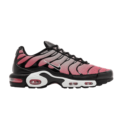 Size 11.5M/13W - Nike Air Max Plus 'All Day' (NO BOX) HF3837-600