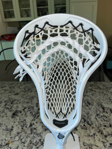 Powell Pioneer 2 Head (New)