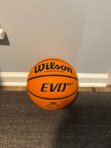 Women's Wilson Basketball (Used)