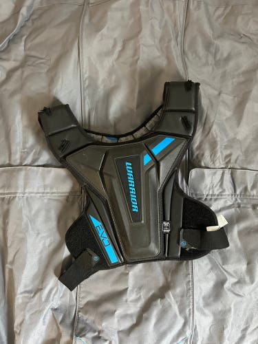 Large Adult Warrior Evo Shoulder Pads (Used)