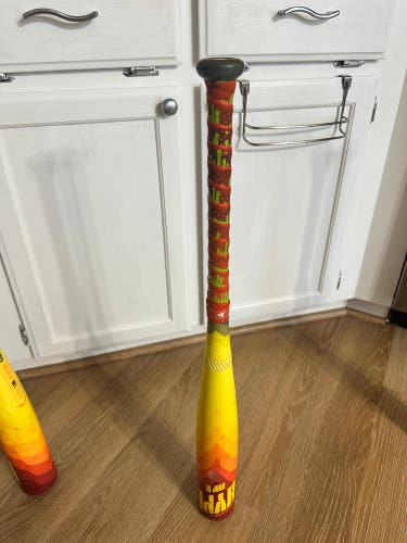 2024 Easton Hype Fire Composite USSSA Certified Bat (-10) 19 oz 29" (Used)