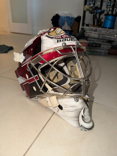 Senior Custom Painted Bauer 960 Goalie Mask (Used)
