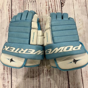 Blue Powertek Gloves 15" (Used)