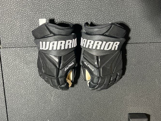 Warrior Alpha LX2 Pro Gloves 15" Pro Stock (New)