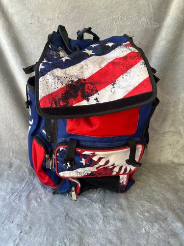 Blue Boombah Player Bag (Used)