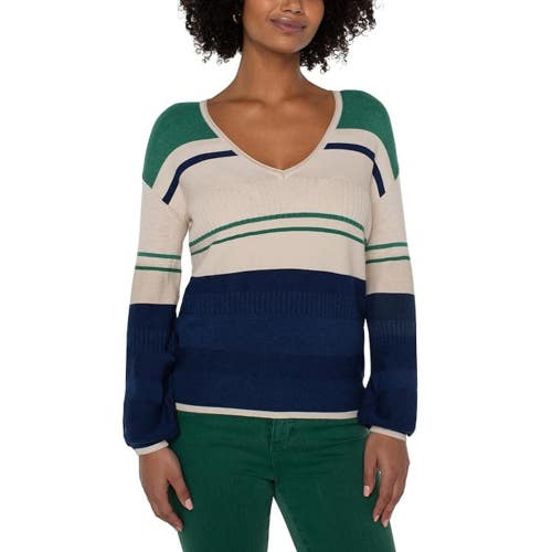 Liverpool Los Angeles Sweater Women's Large Multi Colorblock Knit V-Neck NLW197