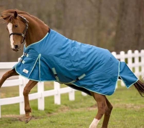 TuffRider 1200d  84" Ecorider medium waterproof turnout blanket