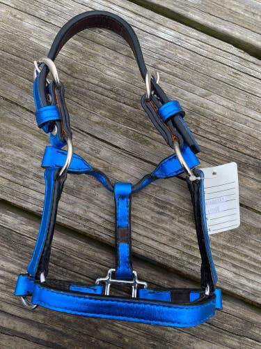 Congress Leather S miniature horse sz metallic blue Western show halter US made