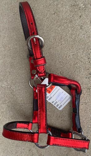 Congress Leather S miniature horse size metallic red Western show halter US made