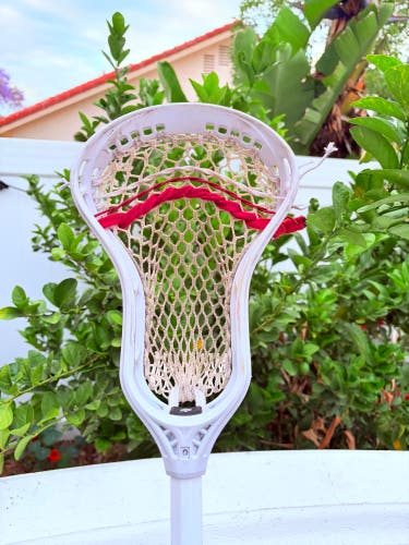 StringKing Mark 3V Head (Used)