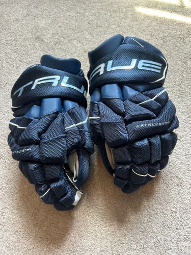 True Catalyst 9x3 Gloves 13" (Used)