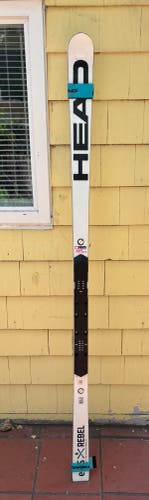 2022 HEAD WC Rebels e-GS RD 193 cm Racing Skis Without Bindings (Used)
