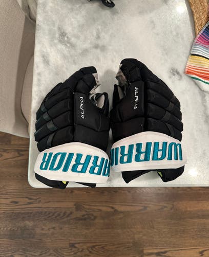 Warrior Alpha Pro Gloves 14" Pro Stock (Used)