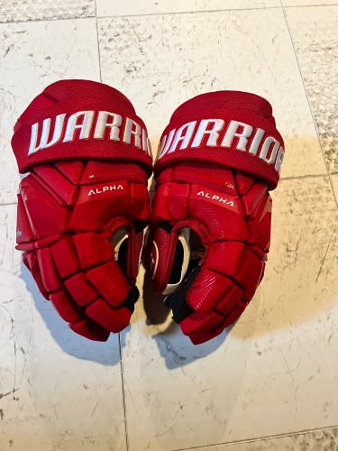 Warrior Alpha LX3 Pro Gloves 15" (Used)