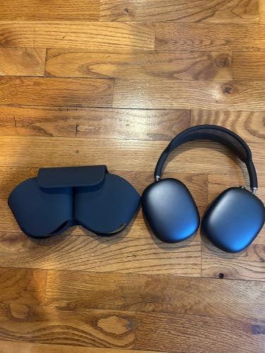 Apple Headphones (Used)
