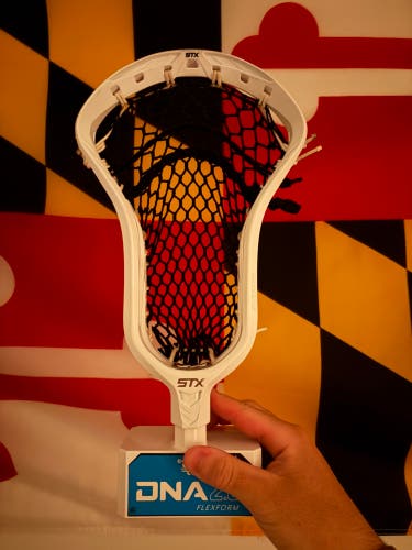 STX Surgeon 1K Head (New)