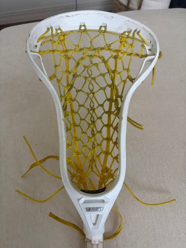 Gait Apex Head (Used)