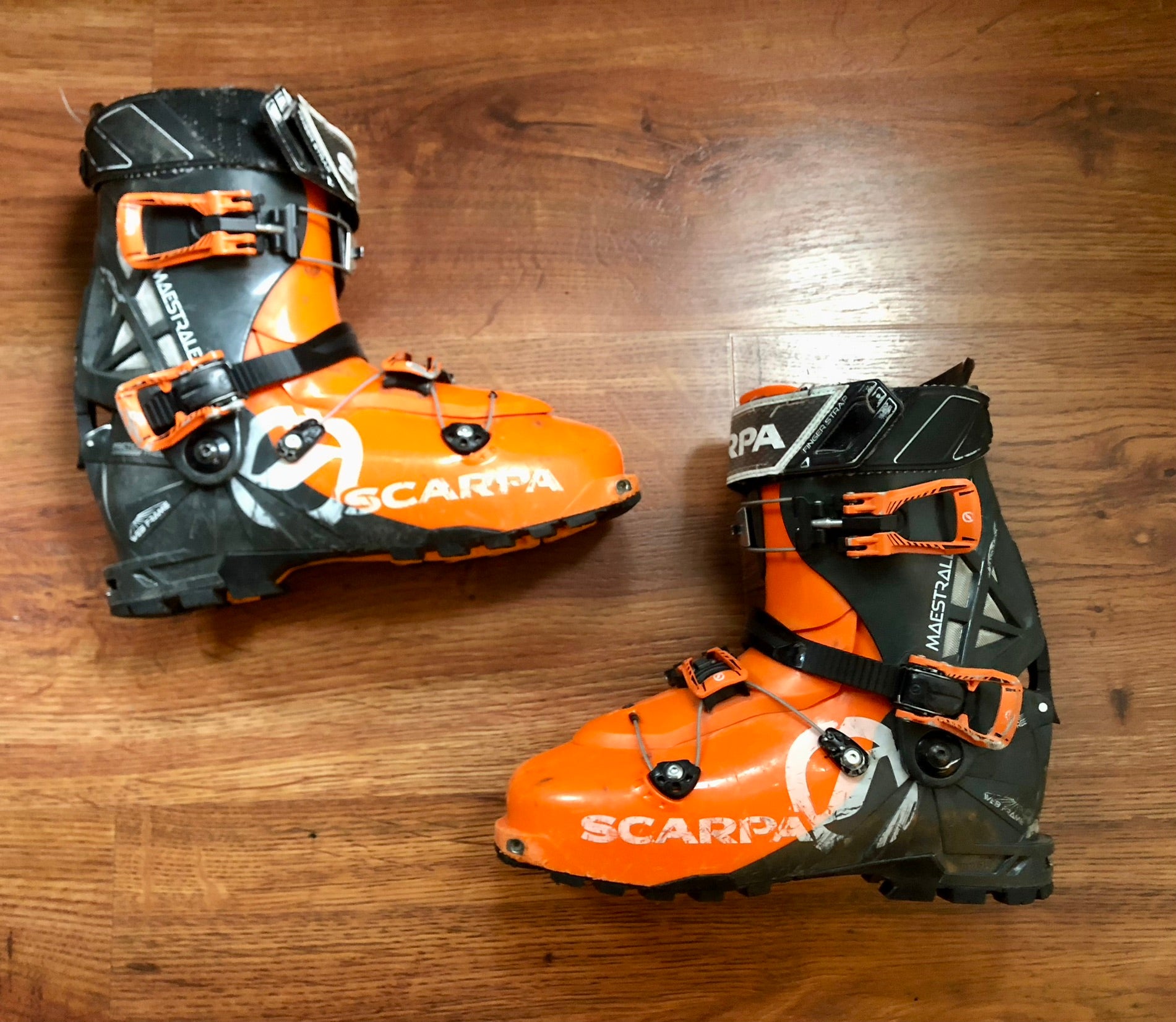 Scarpa Maestrale RS Downhill Ski Boots | Used and Closeout