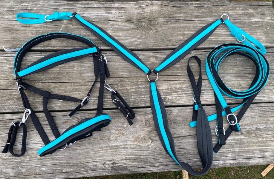 Teal & Black nylon Western halter/bridle combination set w/reins, breast collar