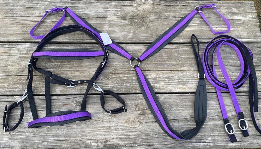 Purple/Black nylon Western halter/bridle combination set  w/reins, breast collar