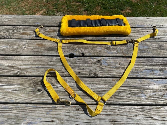 Big Dee's yellow standardbred racing harness back pad and nylon buxton NWOT