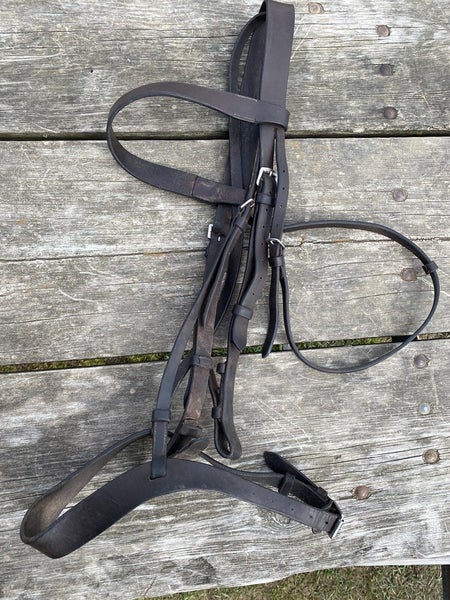 Used HDR Havana brown oversize English bridle headstall w/ caveson VGC