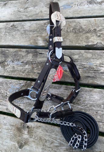Pony size silver overlaid leather Western show halter  w/copper accents,  lead