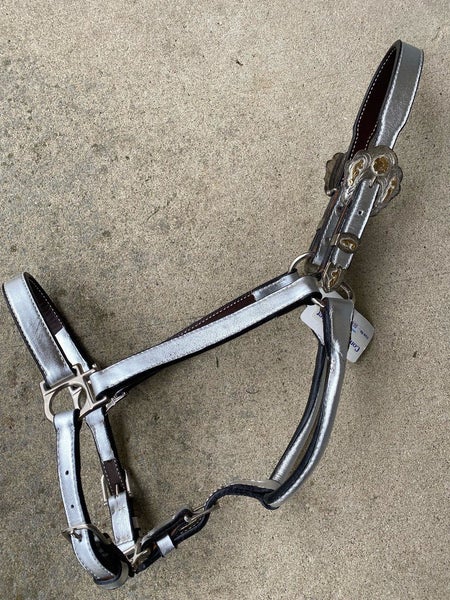 Congress Leather metallic silver Western show halter w/Alpaca silver horse size