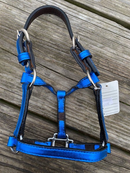 Congress Leather S miniature horse sz metallic blue Western show halter US made