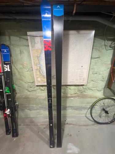 Dynastar DT 41 gs skis