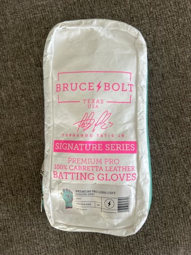 2025 Baseball Glove (Used)