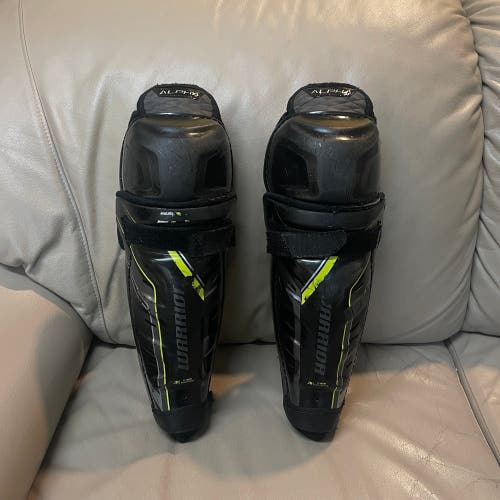 Junior Warrior Alpha DX 11 Shin Pads