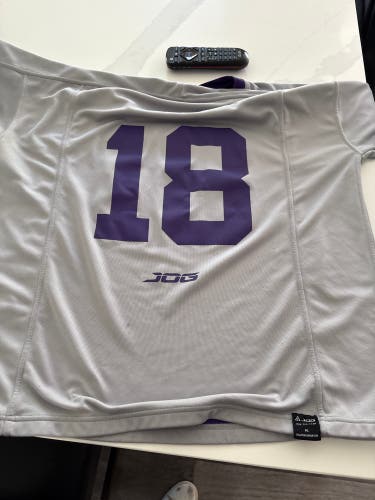 Gray Large Adult Unisex Jersey (Used)
