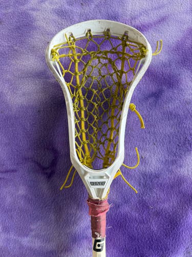 Gait Whip Stick (Used)