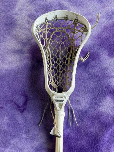 Gait Whip Stick (Used)