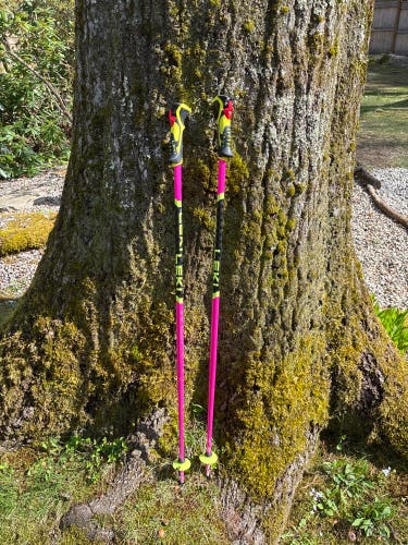 40in (100cm) Leki World Cup Lite SL Racing Ski Poles (Used)