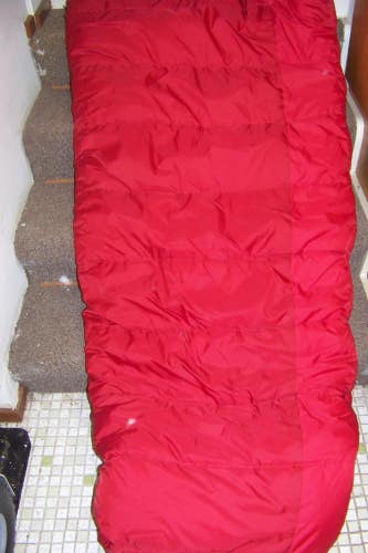 REI Shasta Semi-Rectangular Sleeping Bag, 20F Short