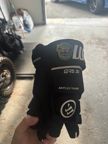 Warrior Covert QR5 30 Gloves 13" (New)
