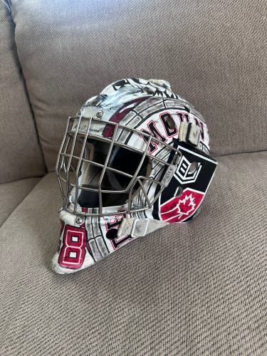 Bauer Profile custom painted 960 pro Goalie Mask