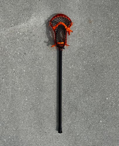 COMPLETE ECD Ion Stick With ECD CF5 Shaft (New)