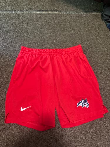 Red Large Men's Nike Shorts (Used)
