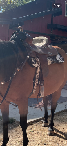 (Used) Santa Fe barrel saddle