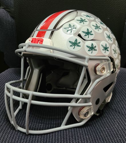OHIO STATE BUCKEYES Riddell SPEEDFLEX Authentic Football Helmet FULL SIZE - DISPLAY ONLY