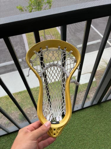 StringKing Mark 2F Head (Used)