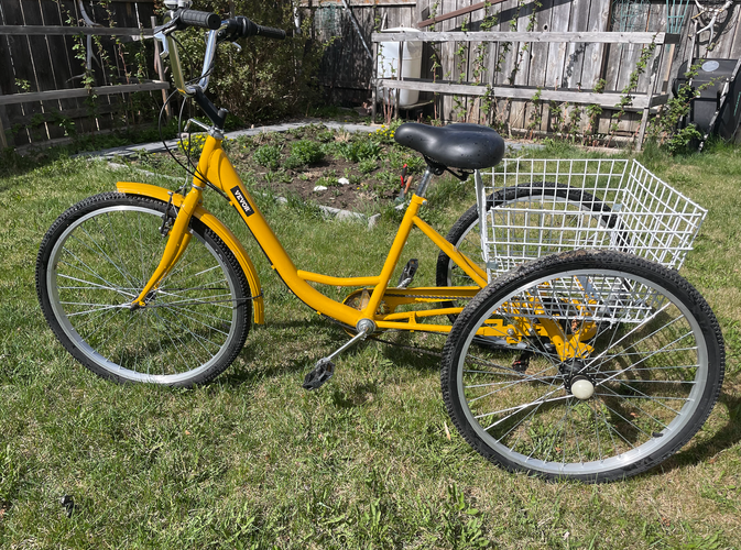 Three wheel town bike (Used)